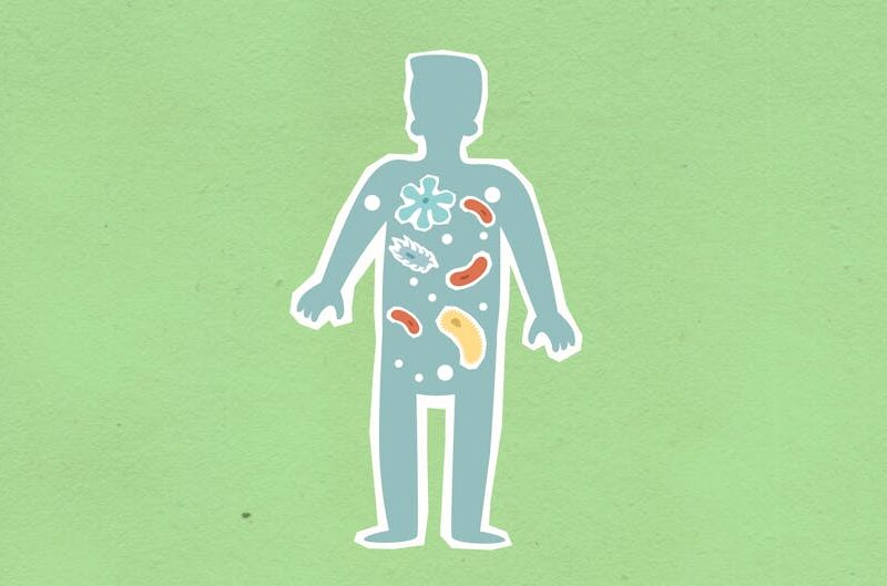 Microbiome Biomarkers: What They Are and Why They’re Hard to Validate